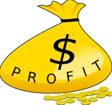 Forex bonuses and profit